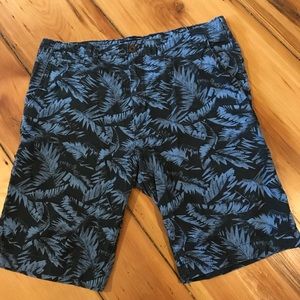 American Eagle Men’s Longboard Shorts size 38